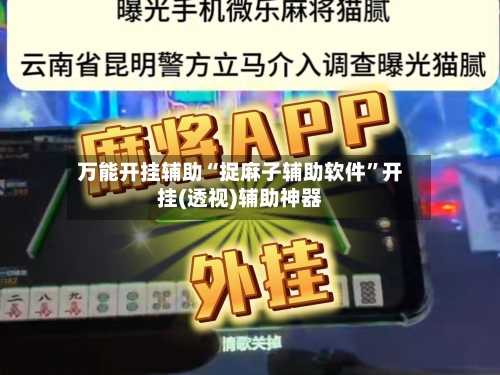 万能开挂辅助“捉麻子辅助软件”开挂(透视)辅助神器-第1张图片