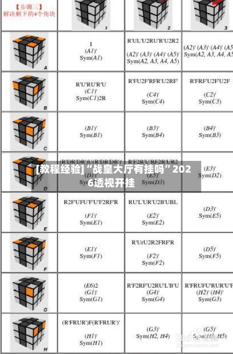 [教程经验]“战皇大厅有挂吗”2026透视开挂-第1张图片