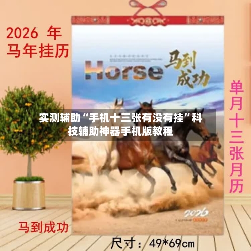 实测辅助“手机十三张有没有挂	”科技辅助神器手机版教程-第1张图片