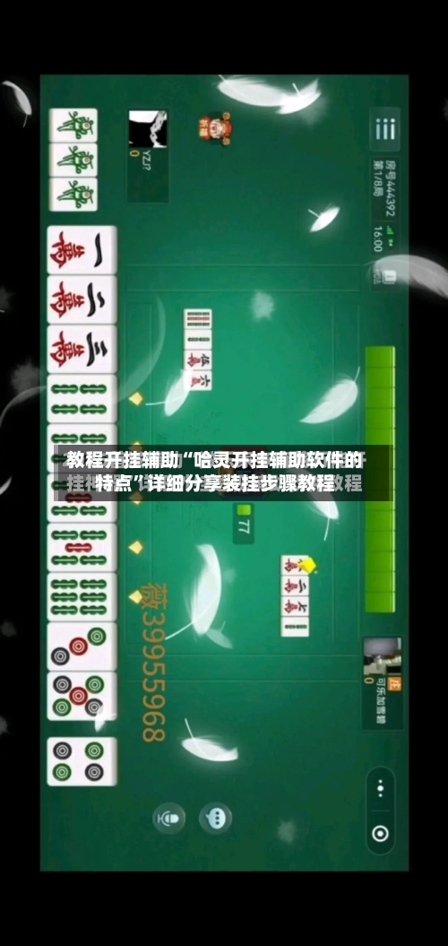 教程开挂辅助“哈灵开挂辅助软件的特点	”详细分享装挂步骤教程-第1张图片