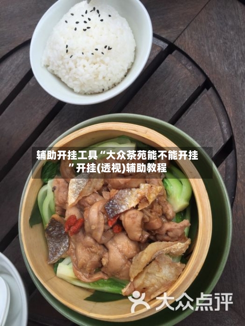 辅助开挂工具“大众茶苑能不能开挂”开挂(透视)辅助教程-第1张图片