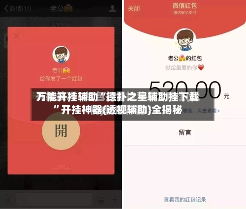 万能开挂辅助“德扑之星辅助挂下载	”开挂神器{透视辅助}全揭秘-第1张图片