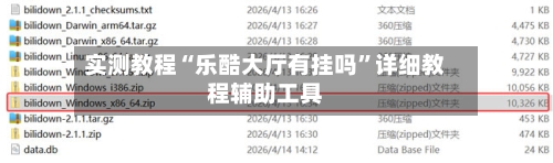实测教程“乐酷大厅有挂吗”详细教程辅助工具-第1张图片
