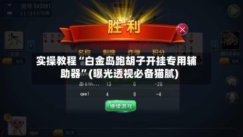 实操教程“白金岛跑胡子开挂专用辅助器”(曝光透视必备猫腻)-第1张图片