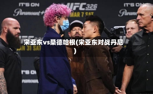 宋亚东vs桑德哈根(宋亚东对战丹尼)-第1张图片