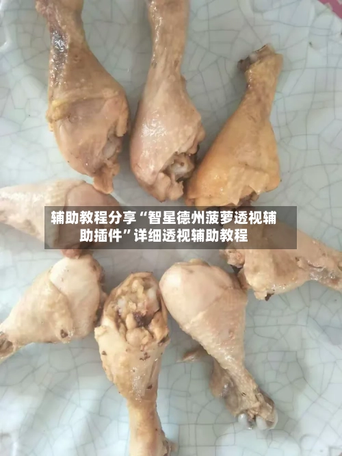 辅助教程分享“智星德州菠萝透视辅助插件”详细透视辅助教程-第1张图片