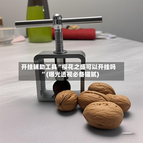 开挂辅助工具“樱花之盛可以开挂吗”(曝光透视必备猫腻)-第1张图片