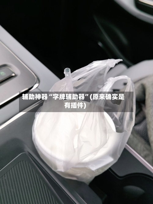 辅助神器“字牌辅助器	”(原来确实是有插件)-第1张图片