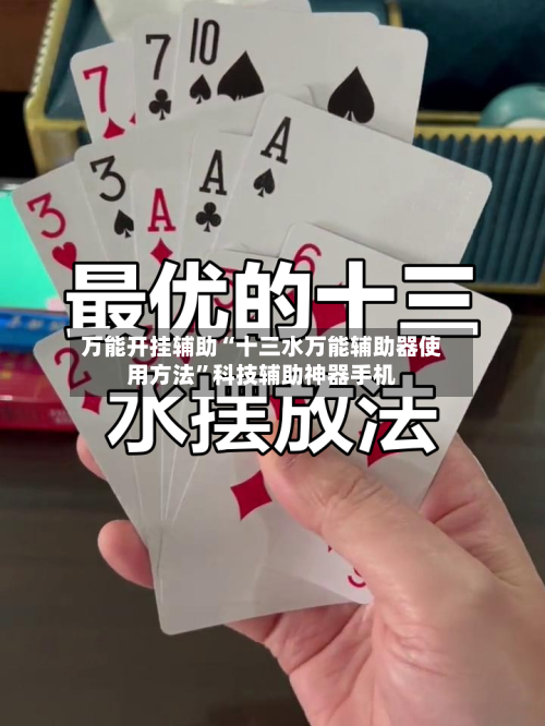 万能开挂辅助“十三水万能辅助器使用方法	”科技辅助神器手机-第1张图片