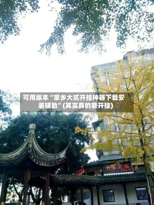 可用版本“家乡大贰开挂神器下载安装辅助”(其实真的能开挂)-第1张图片