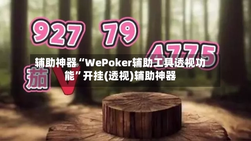 辅助神器“WePoker辅助工具透视功能	”开挂(透视)辅助神器-第1张图片