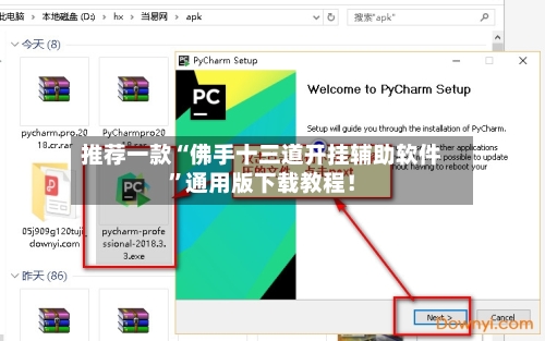 推荐一款“佛手十三道开挂辅助软件”通用版下载教程！-第1张图片