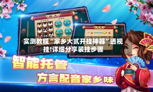 实测教程“家乡大贰开挂神器”透视挂!详细分享装挂步骤-第1张图片