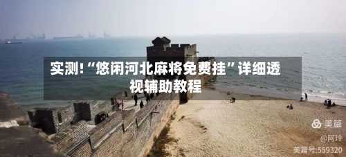 实测!“悠闲河北麻将免费挂”详细透视辅助教程-第1张图片