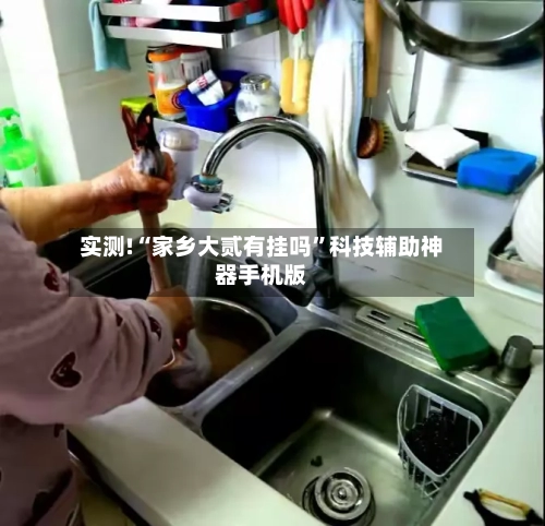 实测!“家乡大贰有挂吗	”科技辅助神器手机版-第1张图片