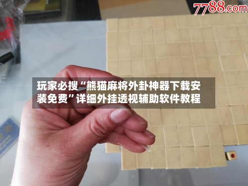 玩家必搜“熊猫麻将外卦神器下载安装免费”详细外挂透视辅助软件教程-第1张图片