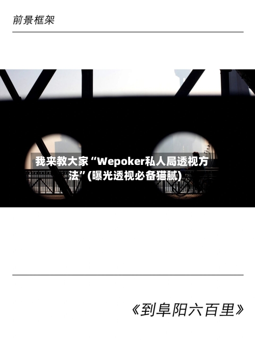 我来教大家“Wepoker私人局透视方法”(曝光透视必备猫腻)-第1张图片