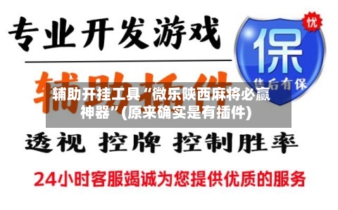 辅助开挂工具“微乐陕西麻将必赢神器	”(原来确实是有插件)-第1张图片