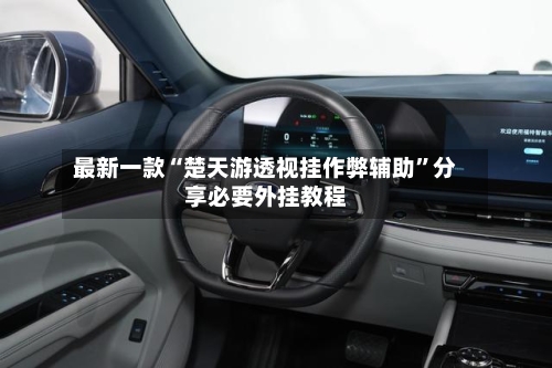 最新一款“楚天游透视挂作弊辅助”分享必要外挂教程-第1张图片