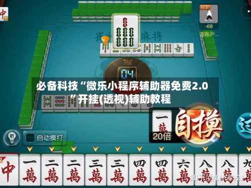 必备科技“微乐小程序辅助器免费2.0”开挂(透视)辅助教程-第1张图片