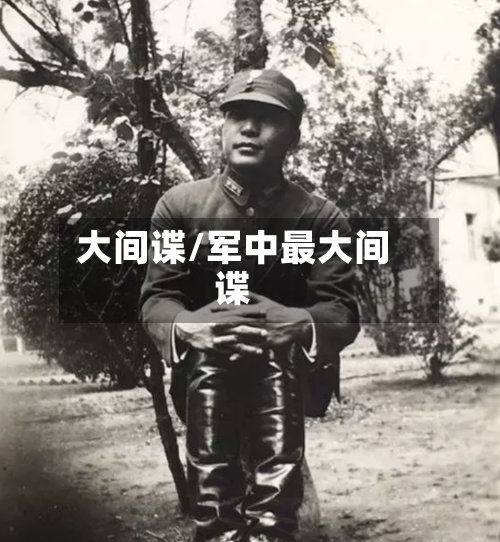大间谍/军中最大间谍-第1张图片