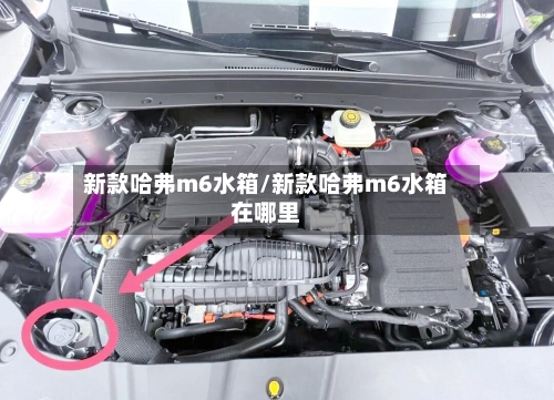 新款哈弗m6水箱/新款哈弗m6水箱在哪里-第1张图片