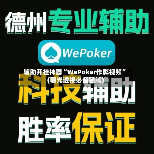 辅助开挂神器“WePoker作弊视频”(曝光透视必备猫腻)-第1张图片
