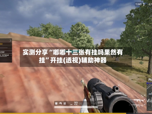 实测分享“嘟嘟十三张有挂吗果然有挂”开挂(透视)辅助神器-第1张图片