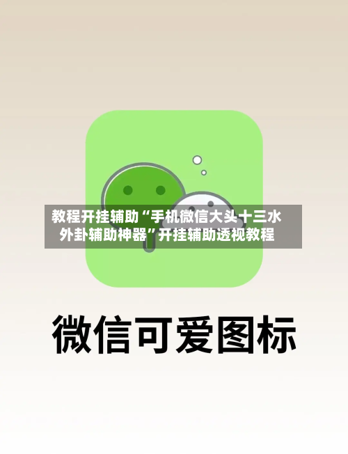 教程开挂辅助“手机微信大头十三水外卦辅助神器	”开挂辅助透视教程-第1张图片