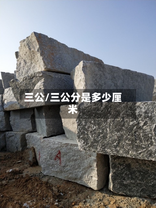 三公/三公分是多少厘米-第1张图片