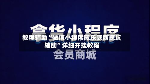 教程辅助“微信小程序微乐陕西挖坑辅助”详细开挂教程-第1张图片