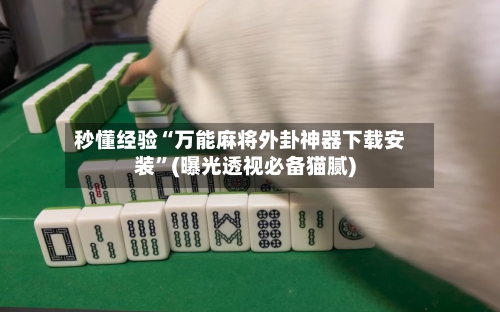 秒懂经验“万能麻将外卦神器下载安装”(曝光透视必备猫腻)-第1张图片
