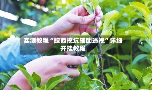实测教程“陕西挖坑辅助透视”详细开挂教程-第1张图片
