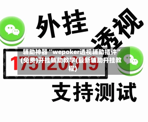 辅助神器“wepoker透视辅助插件”(免费)开挂辅助教学(最新辅助开挂教程)-第1张图片