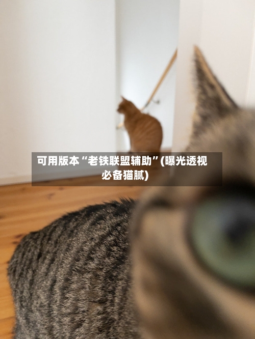 可用版本“老铁联盟辅助	”(曝光透视必备猫腻)-第1张图片