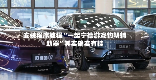 安装程序教程“一起宁德游戏钓蟹辅助器”其实确实有挂-第1张图片