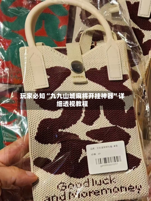 玩家必知“九九山城麻将开挂神器”详细透视教程-第1张图片