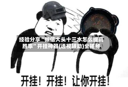 经验分享“微信大头十三水怎么提高胜率”开挂神器{透视辅助}全揭秘-第1张图片