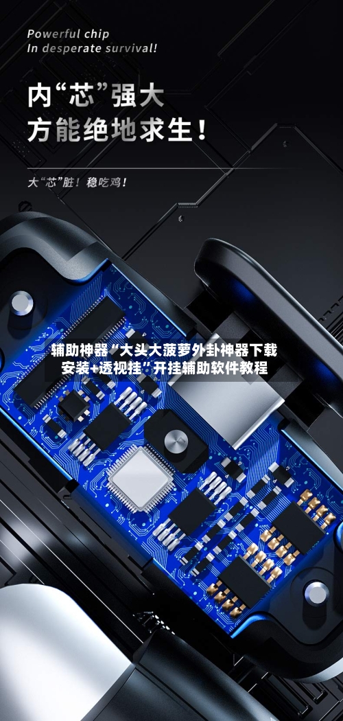 辅助神器“大头大菠萝外卦神器下载安装+透视挂”开挂辅助软件教程-第1张图片