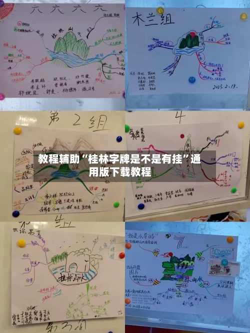 教程辅助“桂林字牌是不是有挂”通用版下载教程-第1张图片