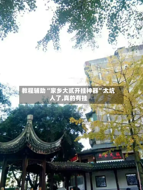 教程辅助“家乡大贰开挂神器	”太坑人了,真的有挂-第1张图片
