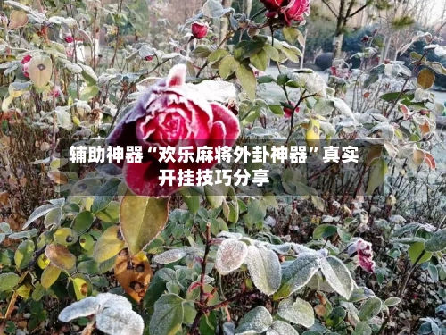 辅助神器“欢乐麻将外卦神器”真实开挂技巧分享-第1张图片