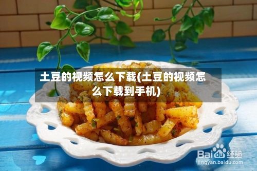 土豆的视频怎么下载(土豆的视频怎么下载到手机)-第1张图片