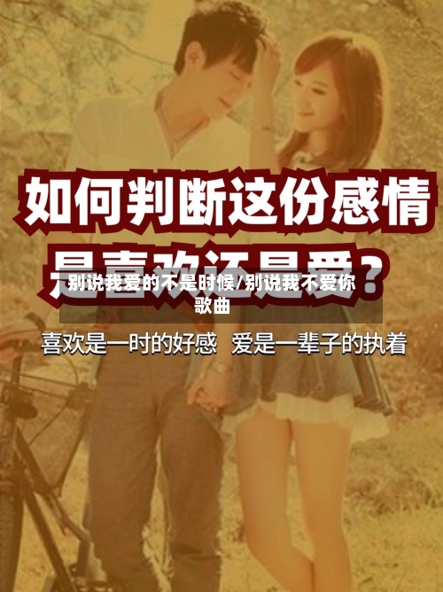 别说我爱的不是时候/别说我不爱你歌曲-第1张图片
