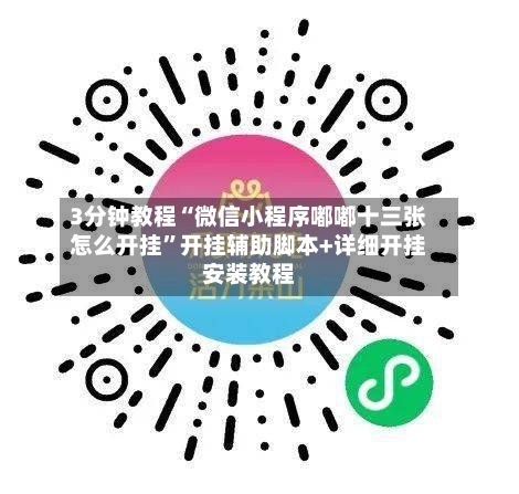 3分钟教程“微信小程序嘟嘟十三张怎么开挂	”开挂辅助脚本+详细开挂安装教程-第1张图片