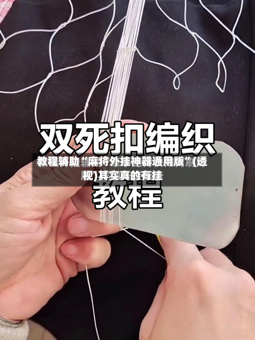 教程辅助“麻将外挂神器通用版”(透视)其实真的有挂-第1张图片