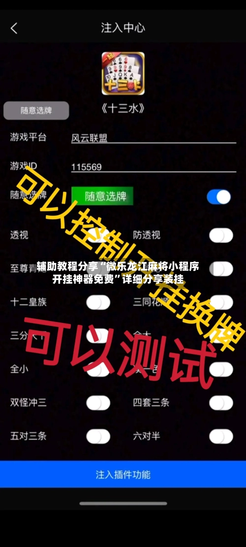 辅助教程分享“微乐龙江麻将小程序开挂神器免费”详细分享装挂-第1张图片