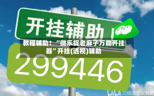教程辅助！“微乐捉老麻子万能开挂器”开挂(透视)辅助-第1张图片