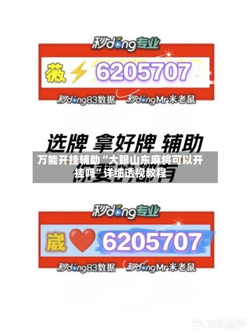 万能开挂辅助“大眼山东麻将可以开挂吗”详细透视教程-第1张图片