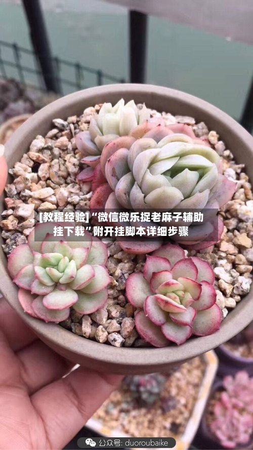 [教程经验]“微信微乐捉老麻子辅助挂下载	”附开挂脚本详细步骤-第1张图片